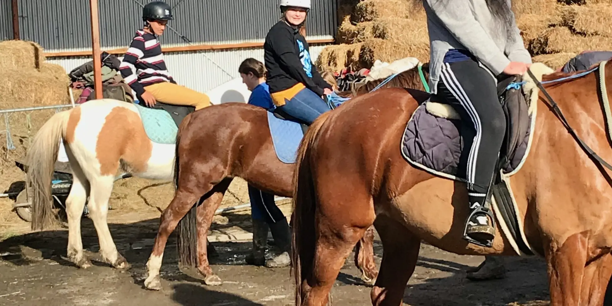 Horse Riding with VOYCE Ōtautahi