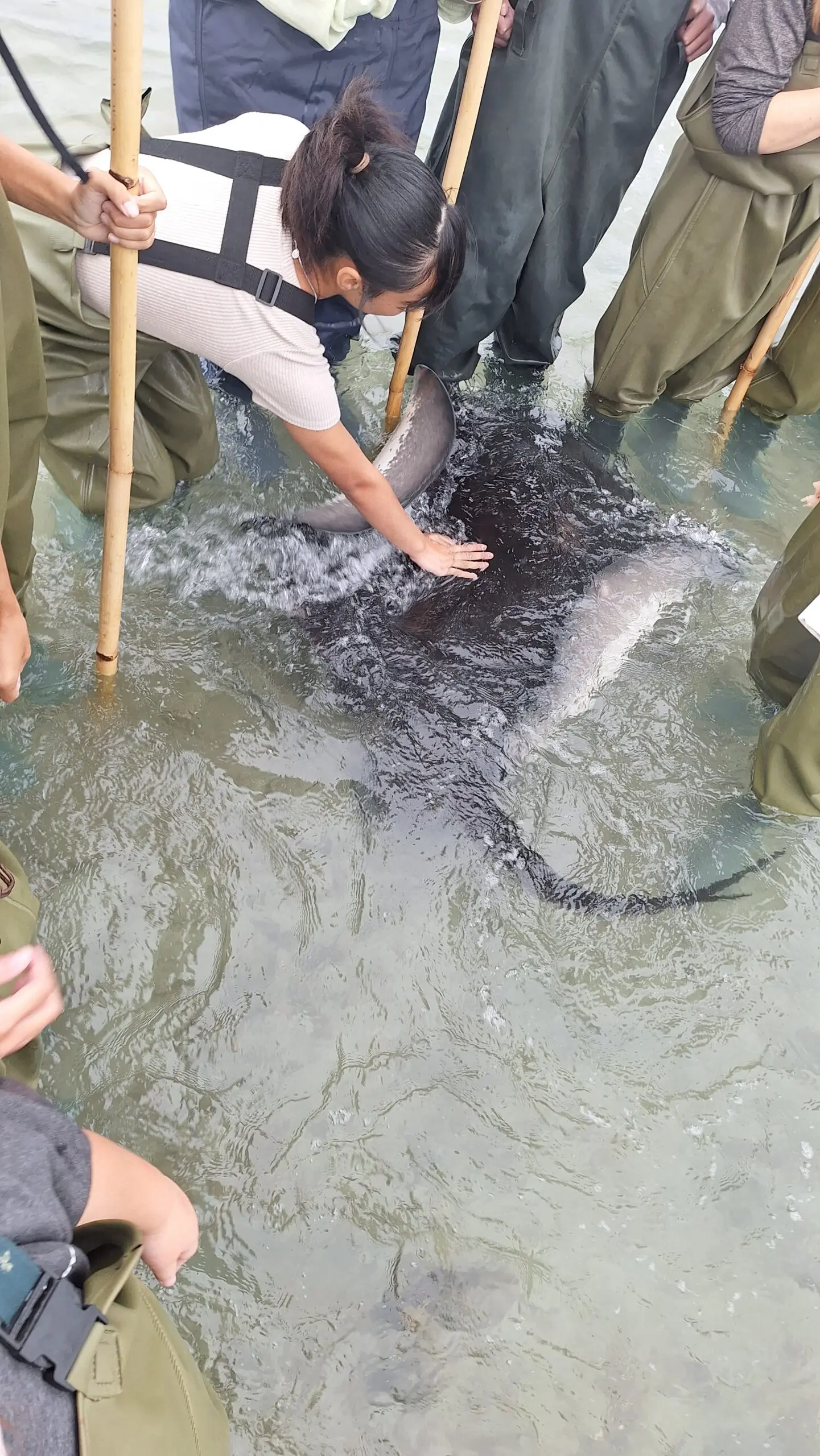 2025 05 20250402 173343 scaled