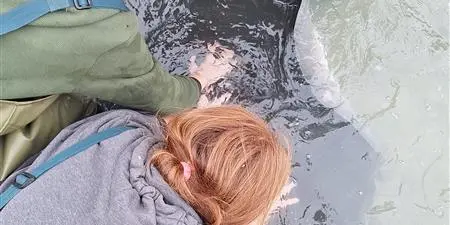 Rangatahi Reef Ecology Experience – Tairāwhiti 