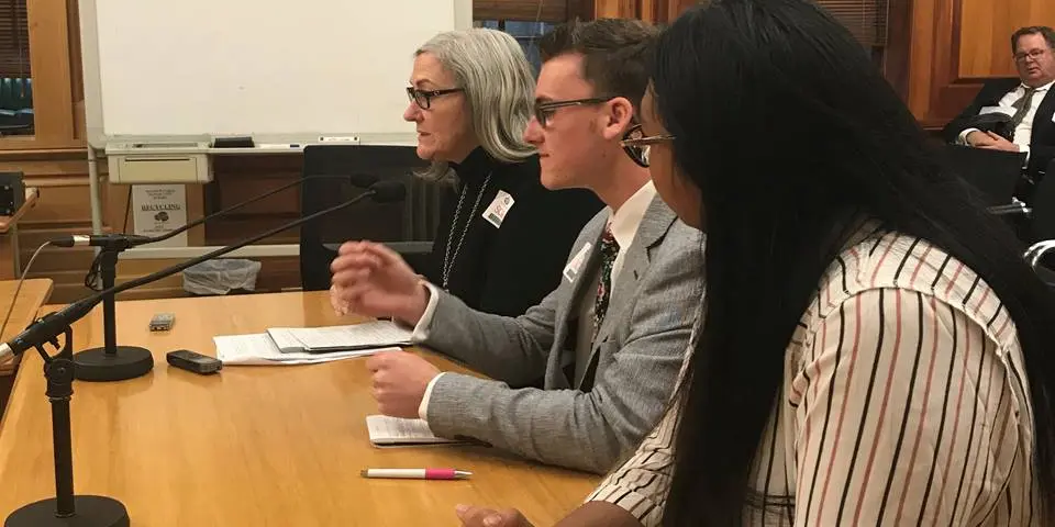 Successful Systemic Advocacy